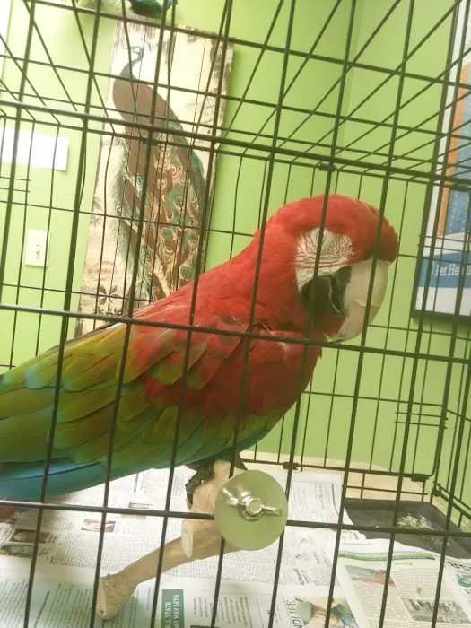 Healing Hands Veterinary Wellness Center Picture 1