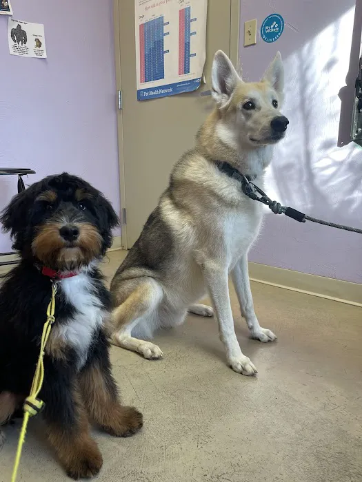 Healing Hands Veterinary Wellness Center Picture 5