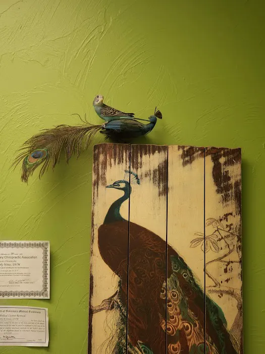 Healing Hands Veterinary Wellness Center Picture 4