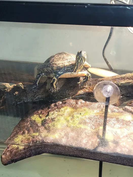 Healing Hands Veterinary Wellness Center Picture 8