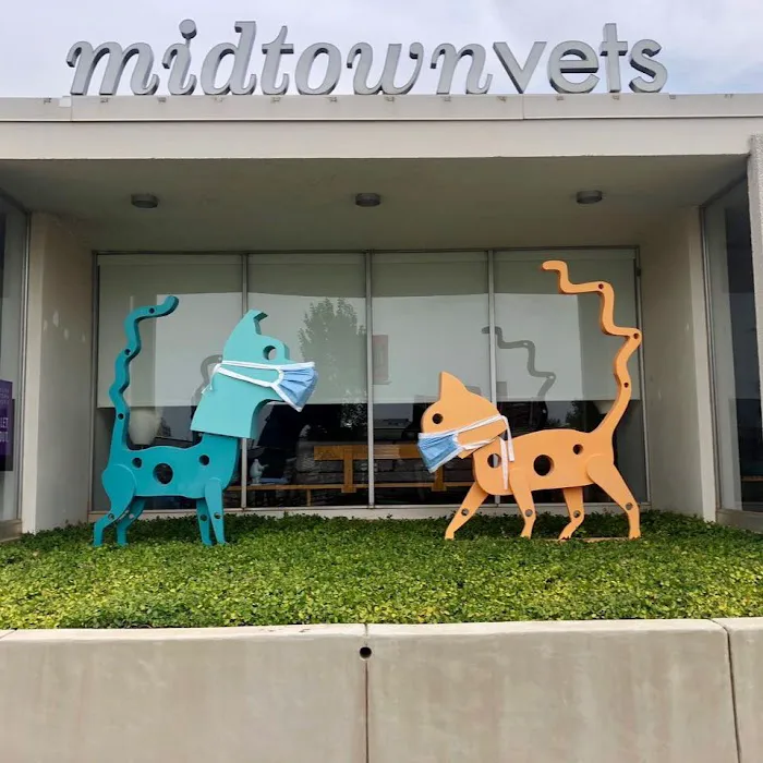 Midtown Vets Picture 1