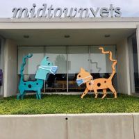 Midtown Vets ico