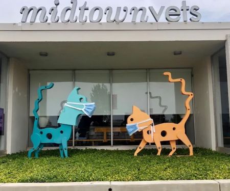Midtown Vets