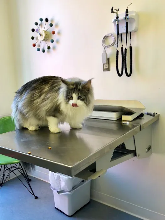 Midtown Vets Picture 4