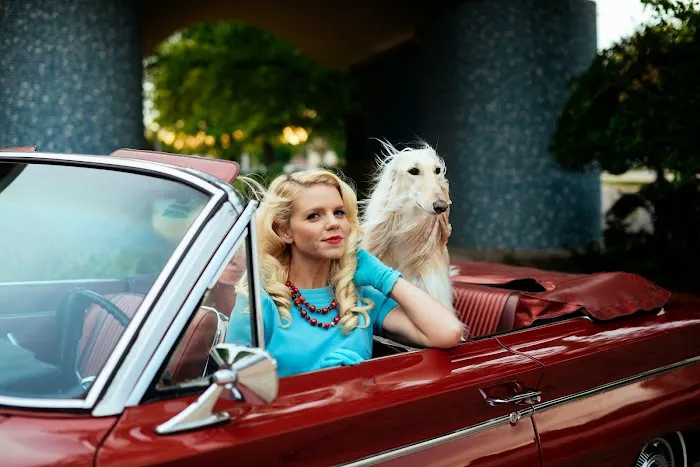 Midtown Vets Picture 2