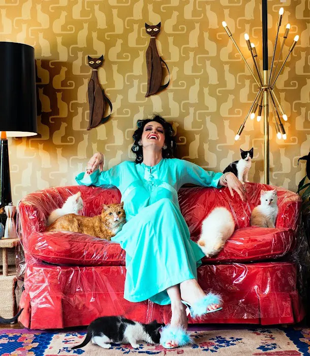 Midtown Vets Picture 6