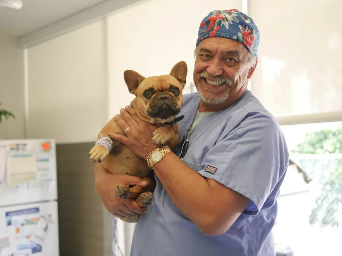 Midtown Vets Picture 8