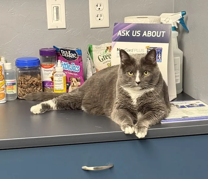 OKC Vet Campus Picture 4