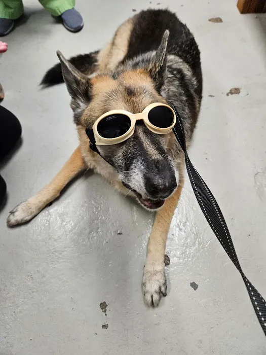 OKC Vet Campus Picture 2