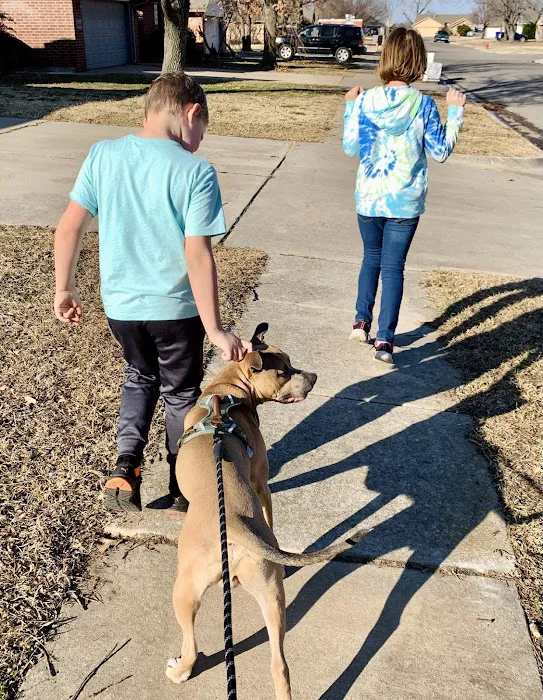 City Paws Urgent Care Picture 8