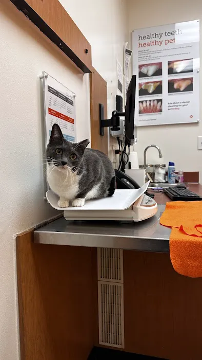 Banfield Pet Hospital Picture 3