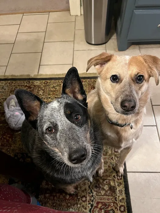 Banfield Pet Hospital Picture 2