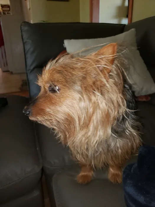 Banfield Pet Hospital Picture 6