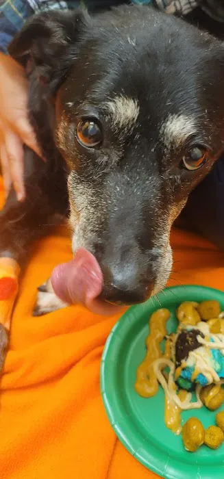 Banfield Pet Hospital Picture 7