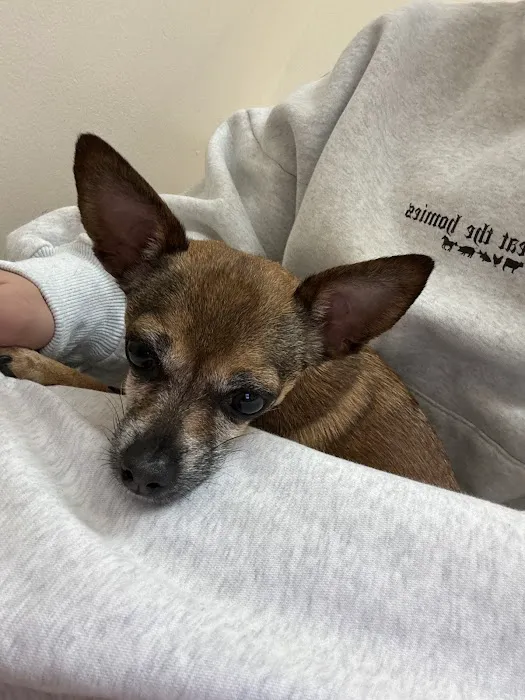 Banfield Pet Hospital Picture 9