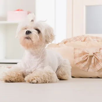 Britton Road Veterinary Clinic Picture 2