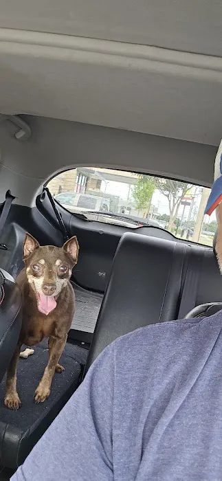 Village Animal Hospital Picture 1