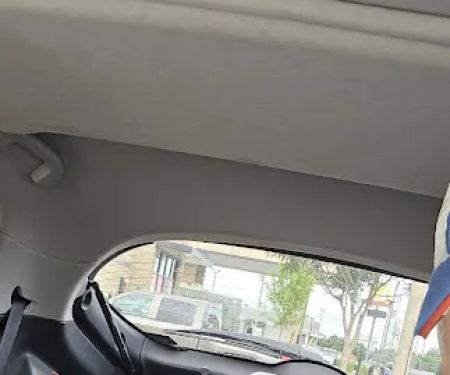 Village Animal Hospital