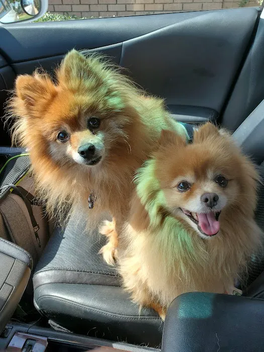 Village Animal Hospital Picture 3