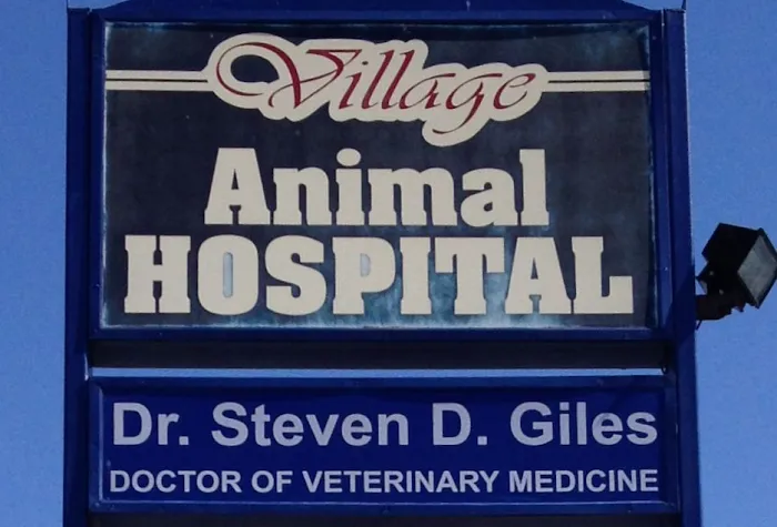 Village Animal Hospital Picture 4