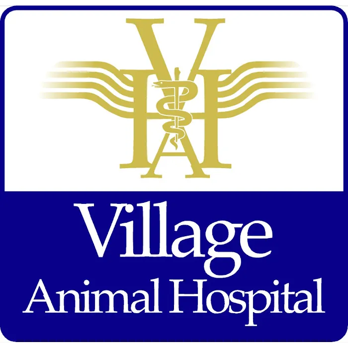 Village Animal Hospital Picture 5