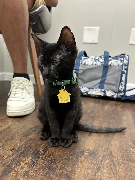 Portland Veterinary Clinic Picture 1