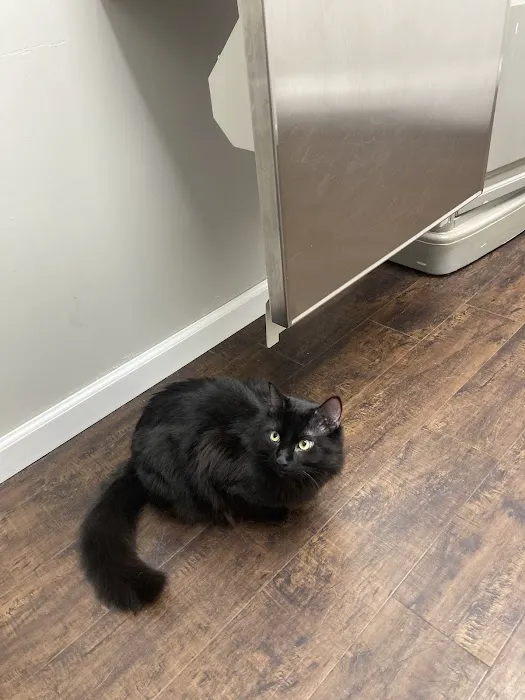 Portland Veterinary Clinic Picture 5