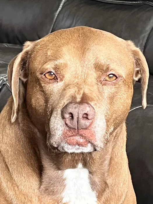 Portland Veterinary Clinic Picture 2