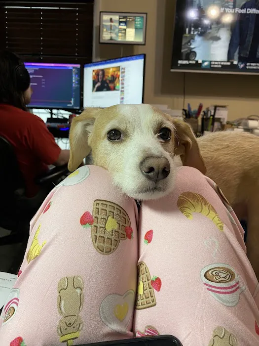 Portland Veterinary Clinic Picture 9