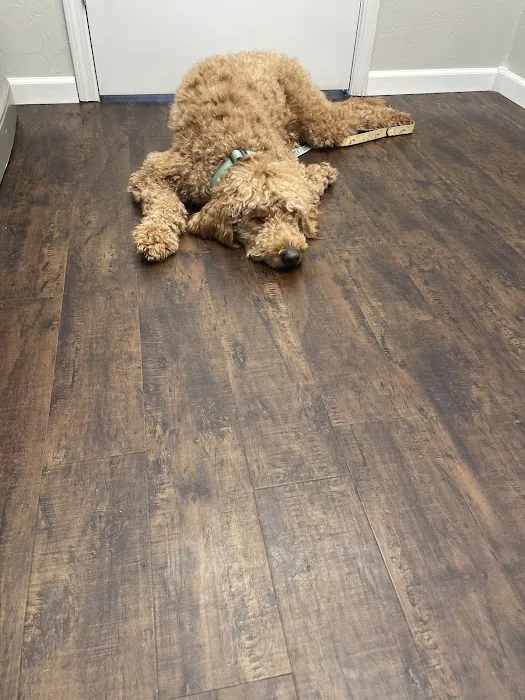 Portland Veterinary Clinic Picture 7