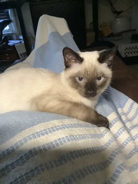 Portland Veterinary Clinic Picture 8