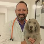 Brown Surgery Referral