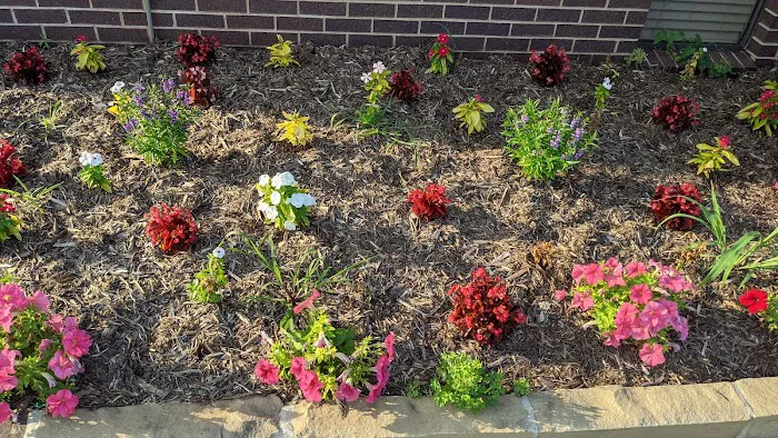 Animal Emergency & Surgical Center Picture 7