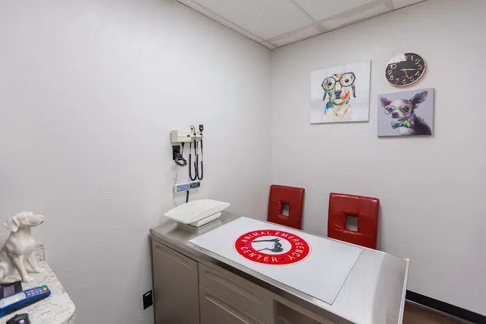 Animal Emergency & Surgical Center Picture 6