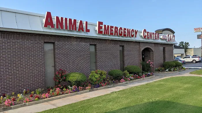 Animal Emergency & Surgical Center Picture 8