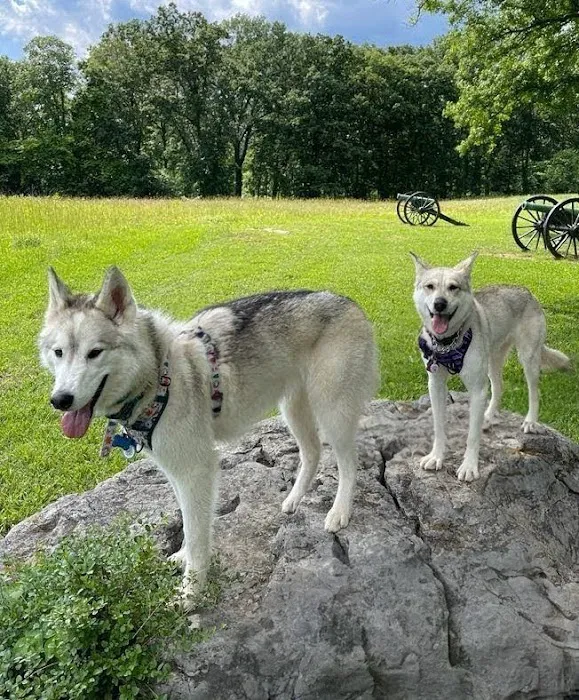 Southwestern Pet Clinic: Geurin Shanda DVM Picture 2