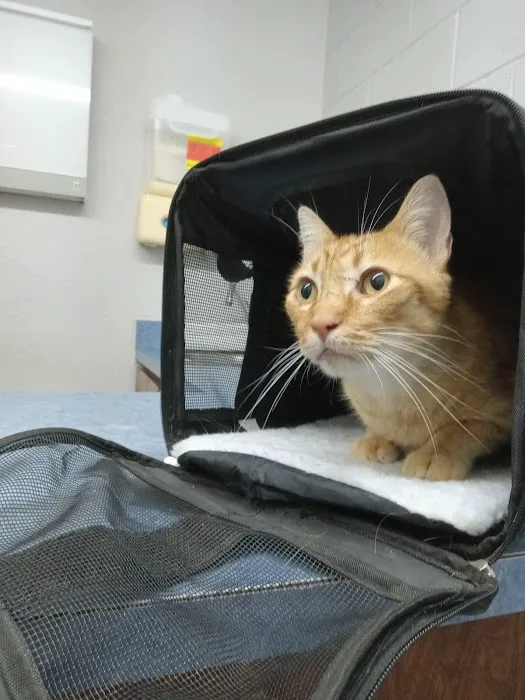 Southwestern Pet Clinic: Geurin Shanda DVM Picture 1