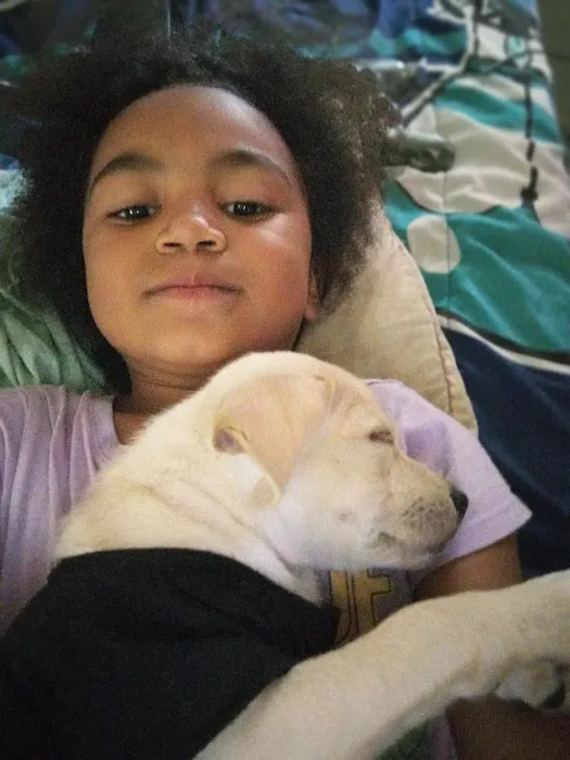 Southwestern Pet Clinic: Geurin Shanda DVM Picture 4