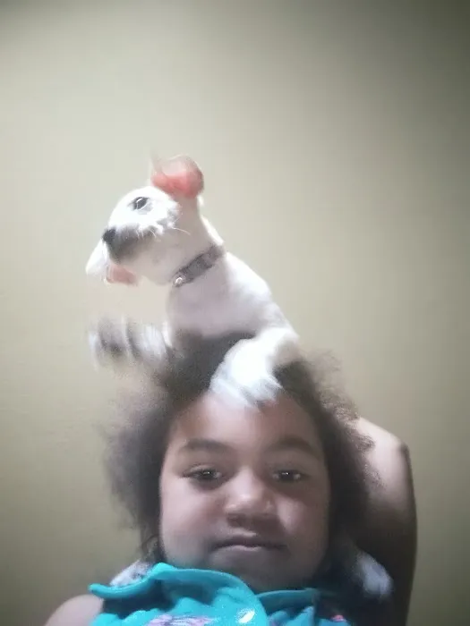 Southwestern Pet Clinic: Geurin Shanda DVM Picture 5