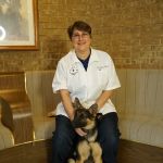 Rock Knoll Animal Hospital