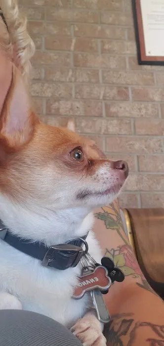 Rock Knoll Animal Hospital Picture 2