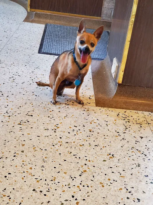 Rock Knoll Animal Hospital Picture 5