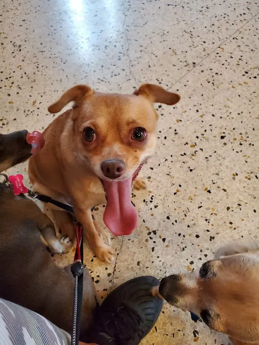 Rock Knoll Animal Hospital Picture 4