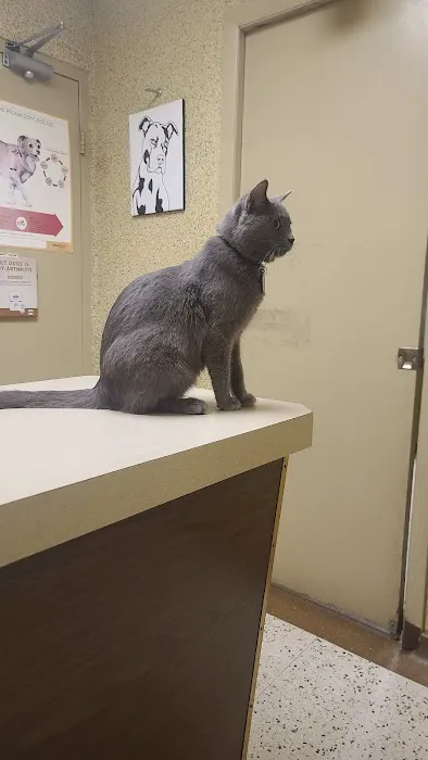 Rock Knoll Animal Hospital Picture 6