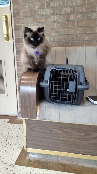 Rock Knoll Animal Hospital Picture 7