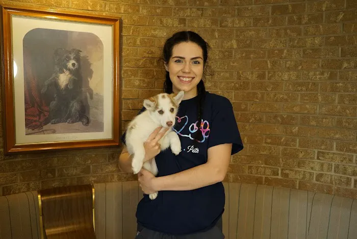 Rock Knoll Animal Hospital Picture 10