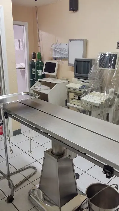 Awesome Care Veterinary and Laser Center Picture 4