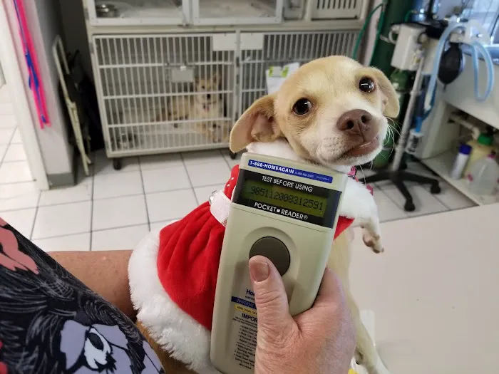 Awesome Care Veterinary and Laser Center Picture 6