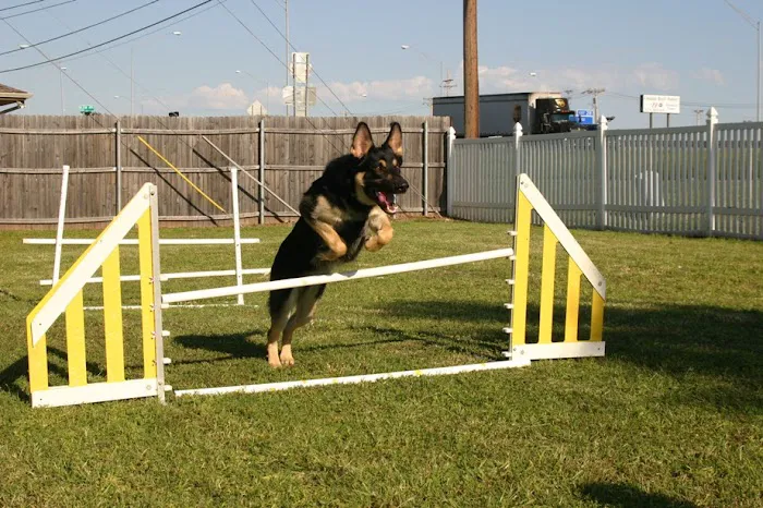 Awesome Care Veterinary and Laser Center Picture 7