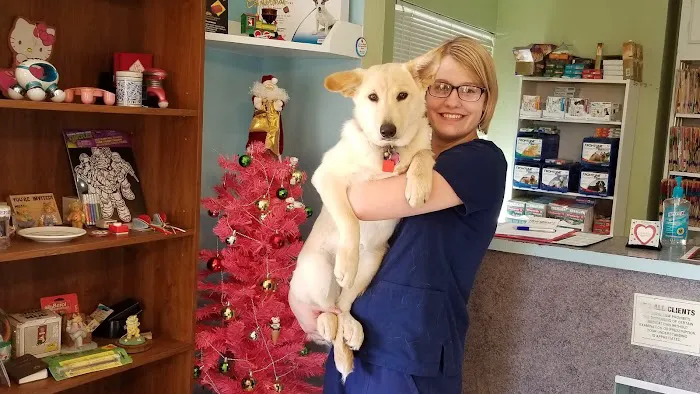 Awesome Care Veterinary and Laser Center Picture 9